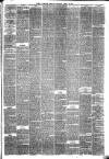 Hyde & Glossop Weekly News, and North Cheshire Herald Saturday 25 April 1874 Page 3