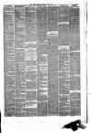 Hyde & Glossop Weekly News, and North Cheshire Herald Saturday 13 June 1874 Page 3