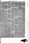 Hyde & Glossop Weekly News, and North Cheshire Herald Saturday 13 June 1874 Page 7