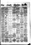 Hyde & Glossop Weekly News, and North Cheshire Herald Saturday 20 June 1874 Page 1