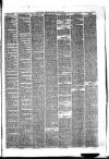 Hyde & Glossop Weekly News, and North Cheshire Herald Saturday 20 June 1874 Page 3