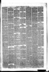 Hyde & Glossop Weekly News, and North Cheshire Herald Saturday 20 June 1874 Page 5