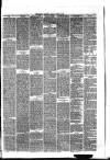 Hyde & Glossop Weekly News, and North Cheshire Herald Saturday 20 June 1874 Page 7