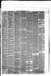 Hyde & Glossop Weekly News, and North Cheshire Herald Saturday 18 July 1874 Page 3