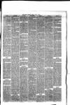 Hyde & Glossop Weekly News, and North Cheshire Herald Saturday 18 July 1874 Page 5