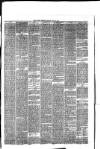 Hyde & Glossop Weekly News, and North Cheshire Herald Saturday 18 July 1874 Page 7