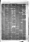 Hyde & Glossop Weekly News, and North Cheshire Herald Saturday 01 August 1874 Page 3