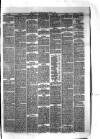 Hyde & Glossop Weekly News, and North Cheshire Herald Saturday 01 August 1874 Page 5