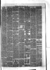 Hyde & Glossop Weekly News, and North Cheshire Herald Saturday 01 August 1874 Page 7