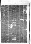 Hyde & Glossop Weekly News, and North Cheshire Herald Saturday 15 August 1874 Page 3