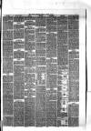 Hyde & Glossop Weekly News, and North Cheshire Herald Saturday 15 August 1874 Page 5