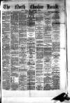 Hyde & Glossop Weekly News, and North Cheshire Herald Saturday 05 September 1874 Page 1