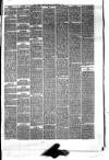 Hyde & Glossop Weekly News, and North Cheshire Herald Saturday 05 September 1874 Page 5