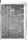 Hyde & Glossop Weekly News, and North Cheshire Herald Saturday 26 September 1874 Page 3