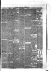 Hyde & Glossop Weekly News, and North Cheshire Herald Saturday 26 September 1874 Page 7