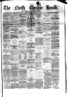 Hyde & Glossop Weekly News, and North Cheshire Herald Saturday 31 October 1874 Page 1