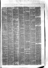 Hyde & Glossop Weekly News, and North Cheshire Herald Saturday 07 November 1874 Page 3