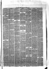 Hyde & Glossop Weekly News, and North Cheshire Herald Saturday 07 November 1874 Page 5