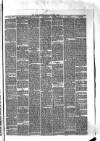 Hyde & Glossop Weekly News, and North Cheshire Herald Saturday 07 November 1874 Page 7