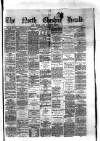 Hyde & Glossop Weekly News, and North Cheshire Herald Saturday 21 November 1874 Page 1