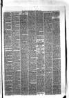 Hyde & Glossop Weekly News, and North Cheshire Herald Saturday 21 November 1874 Page 3