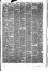 Hyde & Glossop Weekly News, and North Cheshire Herald Saturday 28 November 1874 Page 3