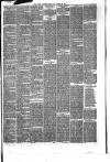 Hyde & Glossop Weekly News, and North Cheshire Herald Saturday 28 November 1874 Page 7