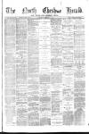 Hyde & Glossop Weekly News, and North Cheshire Herald Saturday 23 January 1875 Page 1