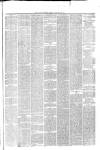 Hyde & Glossop Weekly News, and North Cheshire Herald Saturday 23 January 1875 Page 7