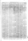 Hyde & Glossop Weekly News, and North Cheshire Herald Saturday 06 February 1875 Page 3