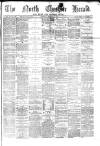 Hyde & Glossop Weekly News, and North Cheshire Herald Saturday 13 February 1875 Page 1