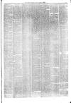 Hyde & Glossop Weekly News, and North Cheshire Herald Saturday 13 February 1875 Page 3