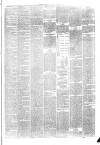 Hyde & Glossop Weekly News, and North Cheshire Herald Saturday 27 March 1875 Page 3