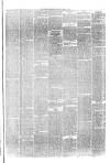 Hyde & Glossop Weekly News, and North Cheshire Herald Saturday 03 April 1875 Page 3
