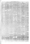 Hyde & Glossop Weekly News, and North Cheshire Herald Saturday 10 April 1875 Page 3