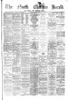 Hyde & Glossop Weekly News, and North Cheshire Herald Saturday 17 April 1875 Page 1