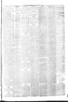 Hyde & Glossop Weekly News, and North Cheshire Herald Saturday 24 April 1875 Page 5