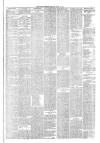 Hyde & Glossop Weekly News, and North Cheshire Herald Saturday 19 June 1875 Page 3