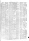 Hyde & Glossop Weekly News, and North Cheshire Herald Saturday 17 July 1875 Page 3