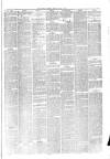 Hyde & Glossop Weekly News, and North Cheshire Herald Saturday 17 July 1875 Page 5