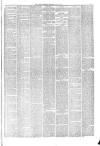 Hyde & Glossop Weekly News, and North Cheshire Herald Saturday 24 July 1875 Page 3