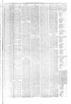 Hyde & Glossop Weekly News, and North Cheshire Herald Saturday 24 July 1875 Page 7