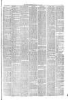 Hyde & Glossop Weekly News, and North Cheshire Herald Saturday 31 July 1875 Page 3