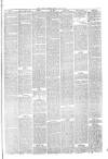 Hyde & Glossop Weekly News, and North Cheshire Herald Saturday 31 July 1875 Page 5