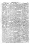 Hyde & Glossop Weekly News, and North Cheshire Herald Saturday 14 August 1875 Page 3
