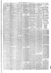 Hyde & Glossop Weekly News, and North Cheshire Herald Saturday 21 August 1875 Page 3