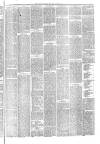Hyde & Glossop Weekly News, and North Cheshire Herald Saturday 21 August 1875 Page 7