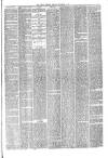 Hyde & Glossop Weekly News, and North Cheshire Herald Saturday 18 September 1875 Page 3