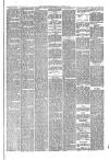 Hyde & Glossop Weekly News, and North Cheshire Herald Saturday 02 October 1875 Page 3