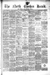 Hyde & Glossop Weekly News, and North Cheshire Herald Saturday 06 November 1875 Page 1